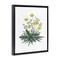 Stupell Industries Dandelion Flower Illustration Floating Frame, design by Cecilia Battaini